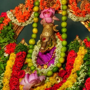 Varahi Abhishekam & Homam